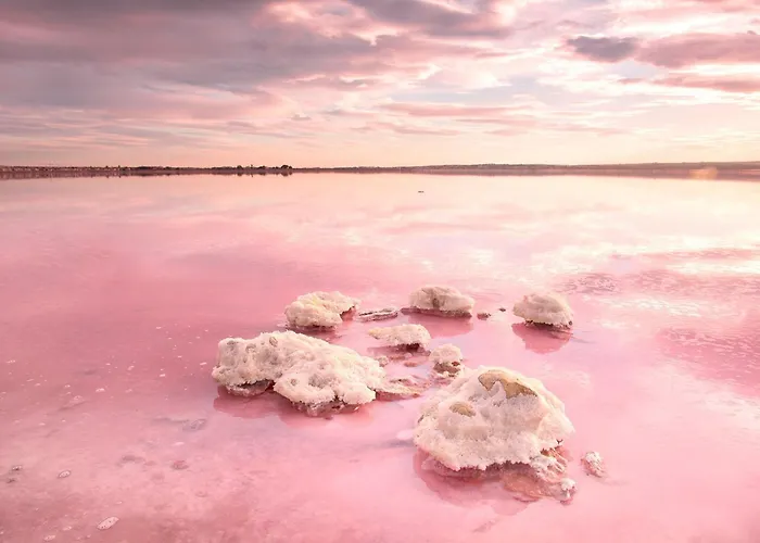 Dom wakacyjny Laguna Rosa