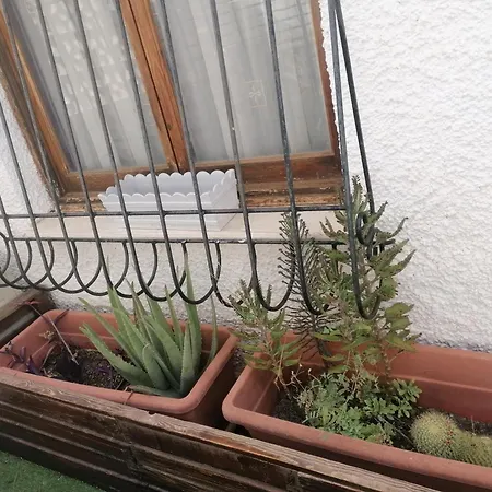 Сasa de vacaciones Laguna Rosa